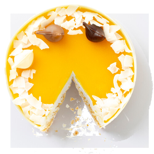 TAM_CHEESECAKE PASSIE_500x500 SPIE