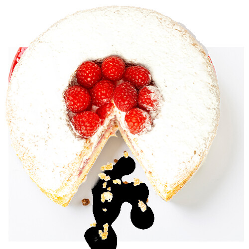 TAM_FRAMBOZEN SPONSCAKE_500x500 SPIE TAM_FRAMBOZEN SPONSCAKE_500x500 SPIE