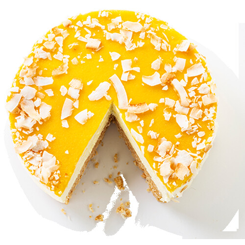 TAM_CHEESECAKE PASSIEVRUCHT_500x500 SPIE TAM_CHEESECAKE PASSIEVRUCHT_500x500 SPIE